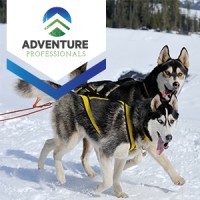 Adventure Professionals Logo