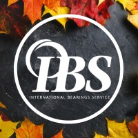 IBS International Bearings Service de México S.A. de C.V. Logo