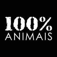 INSTITUTO 100% ANIMAIS Logo