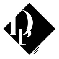 Digital Patang Pvt Ltd - Flying Digitally Logo