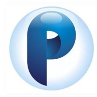 PARADIGM TECHSOLUTIONS Logo