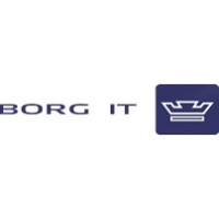 BORG IT Logo