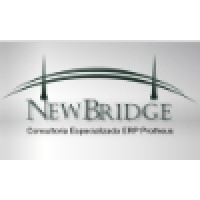 Newbridge Consultoria Logo