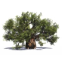 Family Financial Insurance Logo