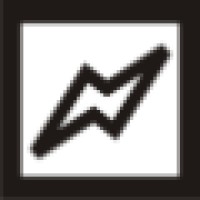 Flits Internet Professionals Logo