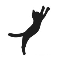 Jump Cats VFX Logo