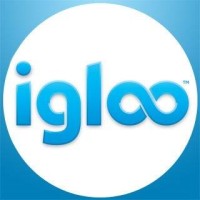 Igloo Staffing Solutions Logo