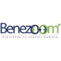 Benezoom Logo