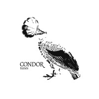 Condor Tunes Logo