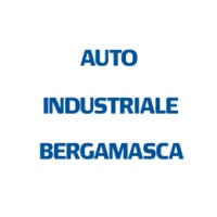 Auto Industriale Bergamasca Logo
