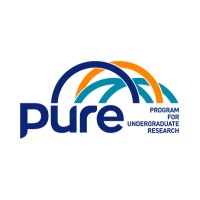 PURE- Program for Undergraduate Research Logo