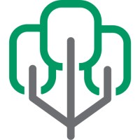 Forest City Digital Logo