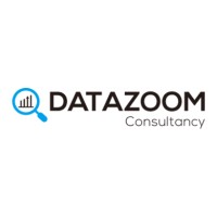 DataZoom Analytics & Consultancy Logo