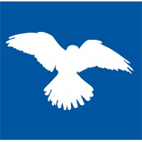 Kestrel Aviation Management Logo