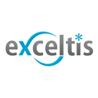 Exceltis Consulting Logo