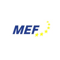 Munich European Forum e.V. Logo