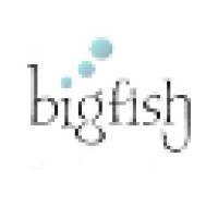 BigFish Consulting LLC Logo