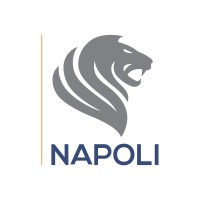 Napoli Consultoria Empresarial Logo
