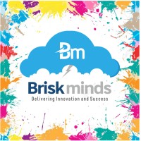 Briskminds Software Solutions Logo