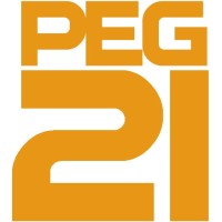 PEG21 Professionals LLC Logo