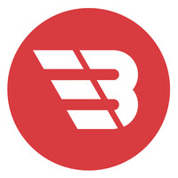 Baykron Logo