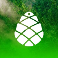 Girchi • გირჩი - მეტი თავისუფლება Logo