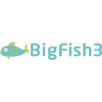 BigFish3 Logo