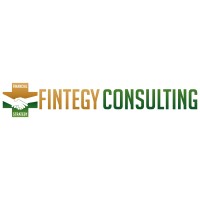 Fintegy Consulting, LLC Logo