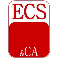 ECS Consultoria e Serviços Logo