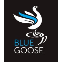 Blue Goose Coffee Logo