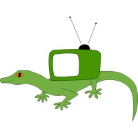 DisplayGecko Logo
