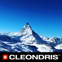 Cleondris Logo