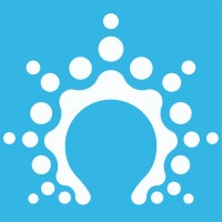 Salesflare Logo