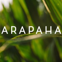 Arapaha Logo
