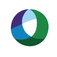 Virtual Partner Advantage Logo