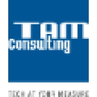 TAM Consulting - IT Services Logo