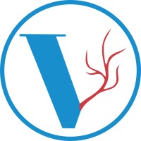 Vascular Institute Logo