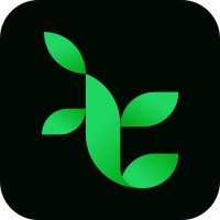 Techivies Solutions Pvt. Ltd. Logo