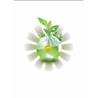 Green Energyz Logo