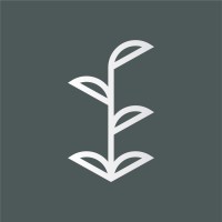 Macroflora Studio Logo