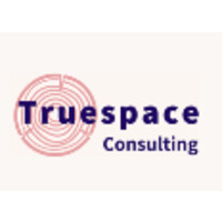 Truespace Consulting Logo