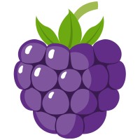 Thunderberry Logo
