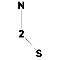 N2S Italia Ltd. Logo