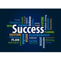 Critical to Success Logo