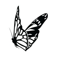 South Coast Social Ltd Logo