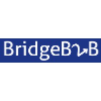 BridgeB2B Logo