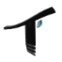 Trilogyz Wireless Incorporated Logo