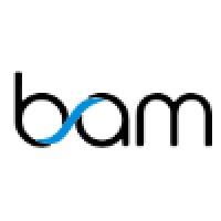 Business Association of Multicultural Students Logo