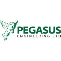 Pegasus Engineering Limited Logo