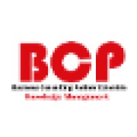Business Consulting Partner Colombia Logo